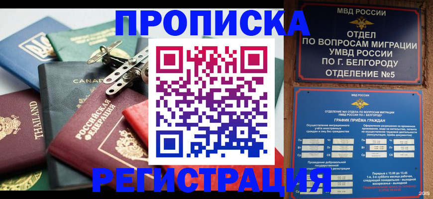 временная регистрация недорого в Невеле